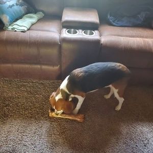 Meet your Posher, Ginny